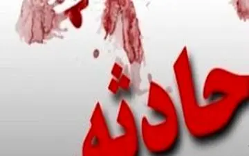 بازیگوشی پسر ۲ ساله در آسانسور حادثه آفرید