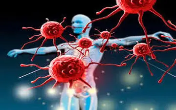 این عوامل سیستم ایمنی بدن را نابود می‌کنند
