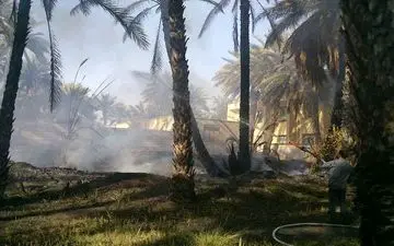 آتش به جان نخلستان های بزمان افتاد