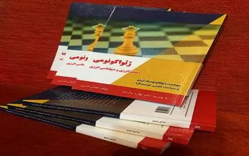  ژئواکونومی اثری از  دکتر لقمان قنبری 