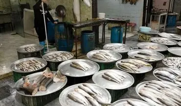 قیمت انواع ماهی ۱۹ مرداد ۱۴۰۲