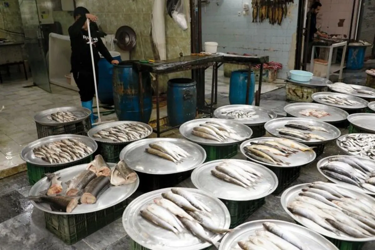 قیمت انواع ماهی ۱۹ مرداد ۱۴۰۲