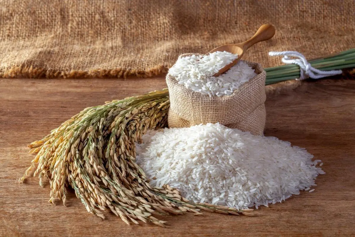 قیمت برنج ایرانی مرداد ۱۴۰۴ | نرخ انواع هاشمی، دودی، طلارم