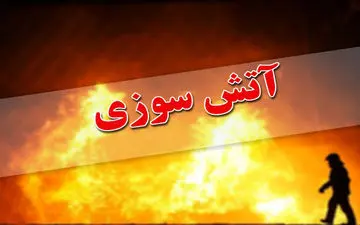 دستگیری عاملین آتش سوزی اقامتگاه ترک اعتیاد - رباط کریم + فیلم