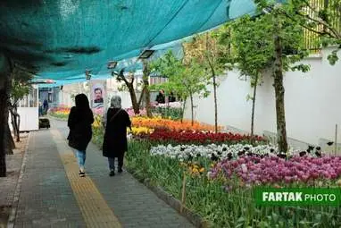 گزارش تصویری از پیاده راه لاله برای مادران 