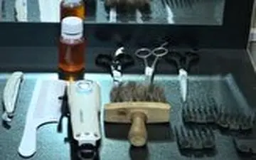 رقابتی جذاب بین بهترین آرایشگران کشور 