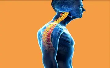 این عارضه پشت میزنشین ها را تهدید می کند

