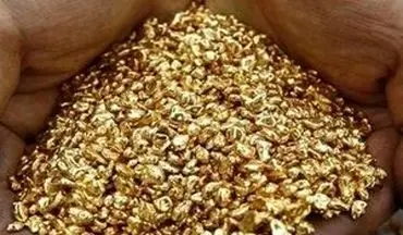 سرقت نیم کیلو طلا با همدستی پسر خانواده