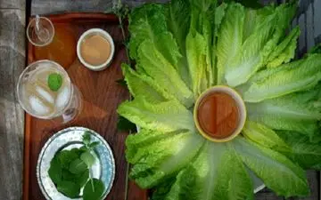 از خواص جالب کاهو و سکنجبین چه می دانید؟