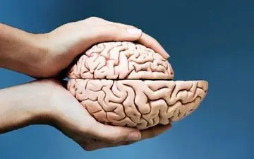 چطور مانع از پیری مغز شویم؟