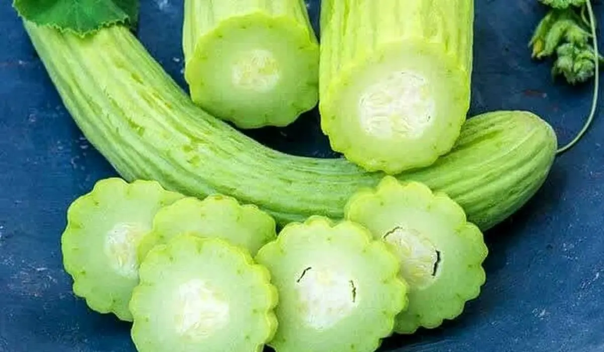   با مصرف این نوع خیار از شر چربی خون خلاص شوید 