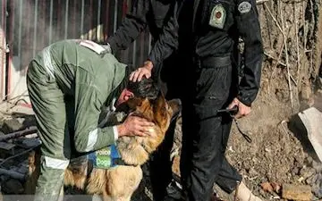 قدردانی مامور آتش نشان از سگ پلیس 