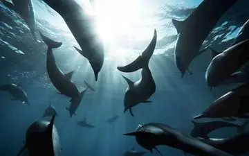  عکس منتخب نشنال جئوگرافیک | بازی محاصره