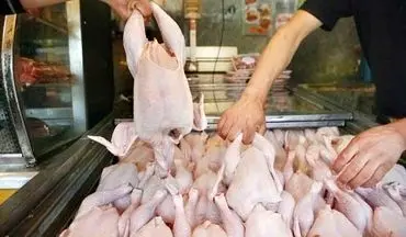 کمبود و افزایش قیمتی در عرضه مرغ ماه رمضان نداریم / قیمت مرغ حداکثر 7500 تومان است