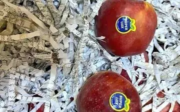 هتک حرمت به قرآن در بین میوه های صادراتی/جریان چه بود؟