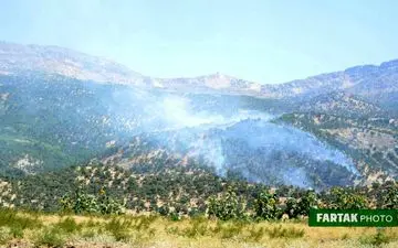 تصاویری ازآتش سوزی درخت های بلوط( جنگلهای ) دالاهو 