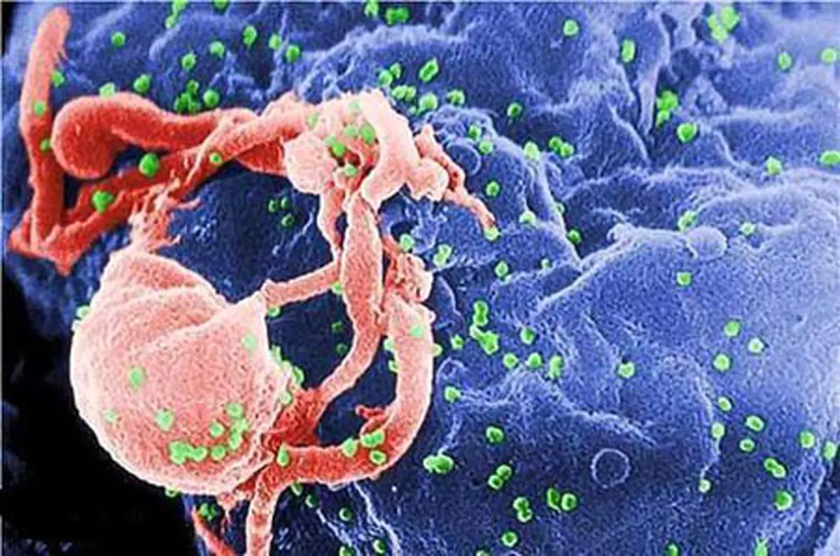 سر و کله ویروس مرگبار ابولا دوباره پیدا شد
