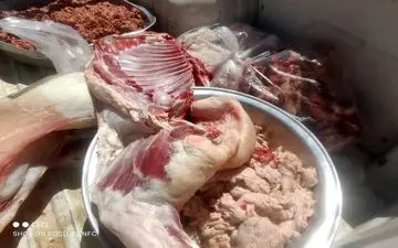 کشف ۵۰۰ کیلوگرم گوشت کشتار غیرمجاز در کرمانشاه     