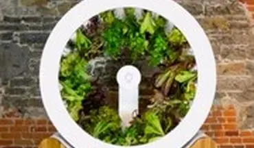 با دستگاه جدید ناسا در خانه برای خودتان سبزی بکارید!