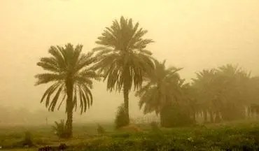 هوای شهرستانهای آبادان و شادگان در شرایط خطرناک