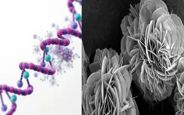 تحولی نوین در درمان سرطان پستان: نانوگل‌هایی که تومور را نابود می‌کنند