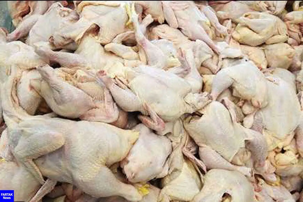 از اول فروردین ۹۸؛
صادرات گوشت مرغ ممنوع می‌شود