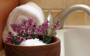 حمام‌‌درمانی گیاهی؛ رفع بیماری و زیبایی پوست