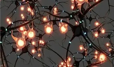 ابداع نورون جدید آزمایشگاهی که تنها با ۰.۱ ولت برق کار می‌کند