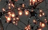 ابداع نورون جدید آزمایشگاهی که تنها با ۰.۱ ولت برق کار می‌کند