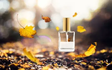 بهترین عطرهای پاییزی: راهنمای کامل برای انتخاب رایحه مناسب فصل