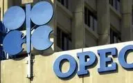 شصت سالگی اوپک در سایه حساس نفتی ناشی از بحران کرونا