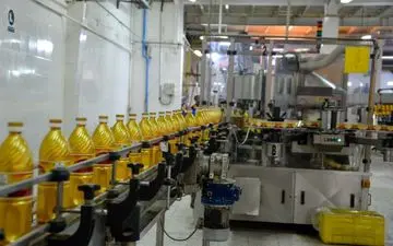 گزارش تصویری/بازدید اصحاب رسانه از مجتمع کشت و صنعت ماهیدشت (نازگل)

