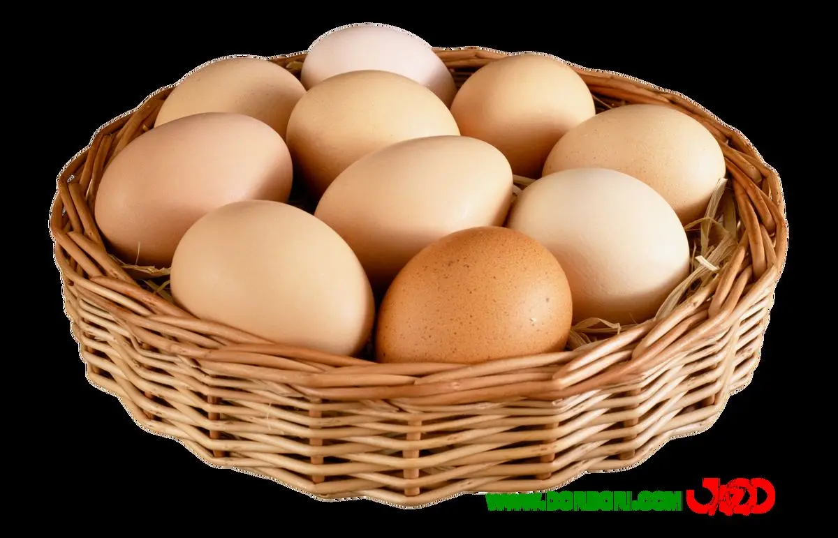 شیوع آنفولانزای حاد پرندگان نرخ تخم مرغ را بالا برد