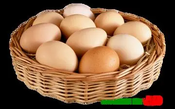 شیوع آنفولانزای حاد پرندگان نرخ تخم مرغ را بالا برد