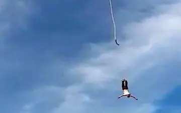 لحظه وحشتناک سقوط مرد پرنده از ارتفاع زیاد!