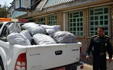 کشف و ضبط ۳۰ کیسه زغال جنگلی توسط یگان حفاظت منابع طبیعی استان کرمانشاه



 