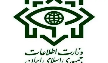 وزارت اطلاعات: دست پلید ناپاکان توسط جبهه مقاومت اسلامی قطع خواهد شد
