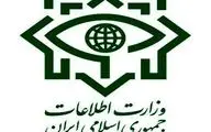 وزارت اطلاعات: دست پلید ناپاکان توسط جبهه مقاومت اسلامی قطع خواهد شد
