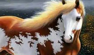  کشف لاشه یک کره اسب مربوط به دوران باستان+فیلم