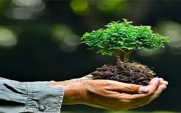 تولید کیسه های دوستدار محیط زیست + فیلم 