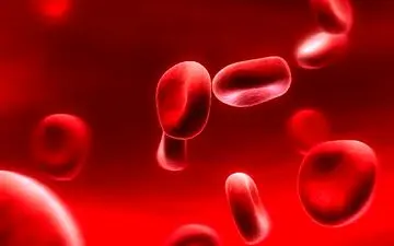 این گروه خونی را دارید؟ بیشتر از بقیه عمر می کنید