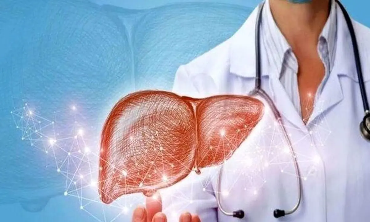   کبدتان را نابود نکنید/ این خوراکی‌ها هر روز بی‌صدا آسیب می‌زنند 