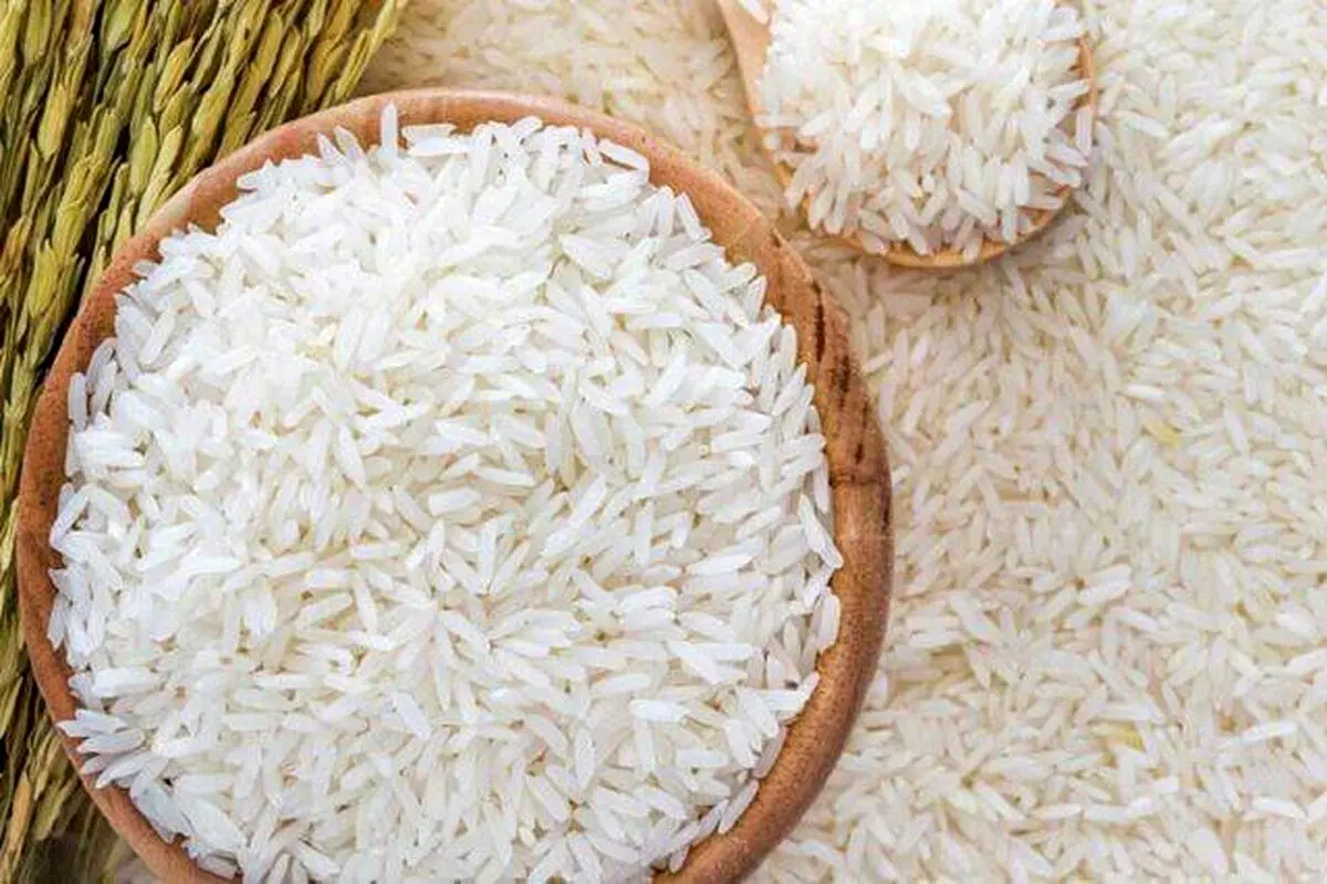 جدیدترین قیمت برنج هاشمی و انواع برنج ایرانی و خارجی شهریور ۱۴۰۴