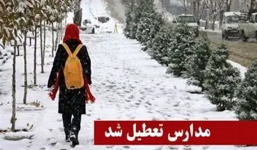 بارش برف برخی مدارس استان کردستان را تعطیل کرد
