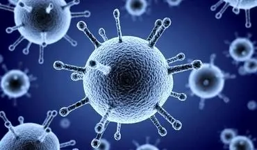 
شش نکته مهم درباره آنفلوآنزا