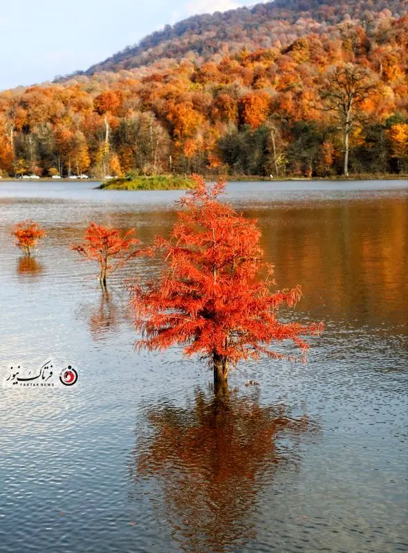 گزارش تصویری از جاده رویایی و دریاچه الندان در فصل پاییز مازندران