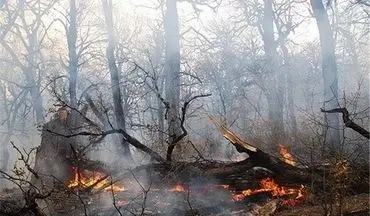 وقوع آتش‌سوزی در جنگل‌های اندیکا
