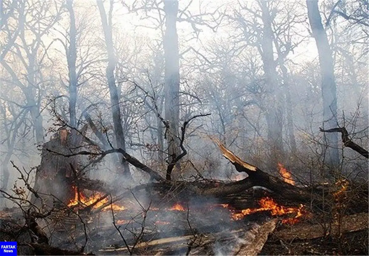 وقوع آتش‌سوزی در جنگل‌های اندیکا
