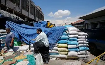 دلیل گرانی عجیب برنج چه بود؟

