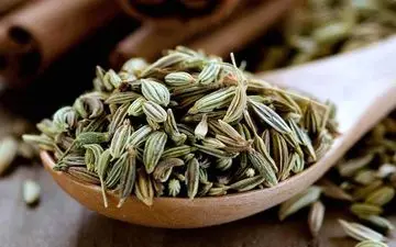 گیاهی که ثروت شما را افزایش می‌دهد و سلامتی را حفظ می‌کند!